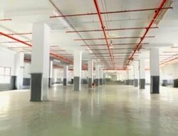 Serangoon North Avenue 4 (D19), Factory #534323841